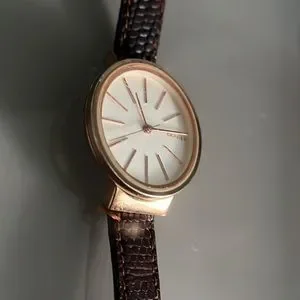 Skagen | Accessories | Skagen Skw 248 Ladies Quartz Watch  display picture 3